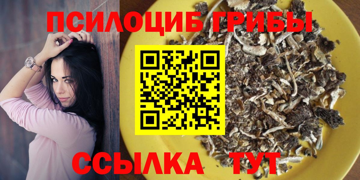 Нижнекамск  Псилоцибиновые грибы ЛСД  Галлюциногенные грибы прущие грибы  Вход с VPN 